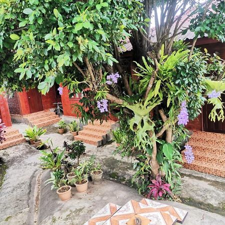 Kongkeo Guesthouse Muang Phônsavan Exteriör bild